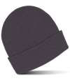 RX290 Pro RTX Pro Beanie Solid Grey colour image